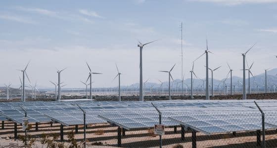 Rows of solar panels with wind turbines on the horizon